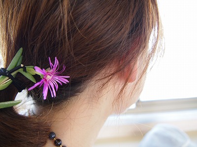b_P8050380.jpg